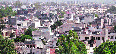 Ludhiana city has turned into a "concrete jungle" with the authorities having failed to check encroachments. 