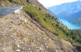Lantana rehabilitation on the hillside along Chamera reservoir in Chamba