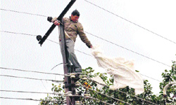  A lineman removes a polythene sheet that got stuck in electric wires which caused shutdown at Jwalapur. 