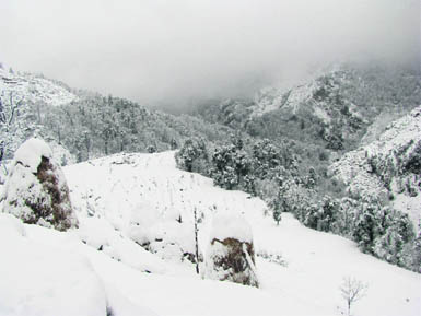 Mountains don a white mantle in Khati village of Bagehswar district in the Kumaon region following heavy snowfall on Friday.
