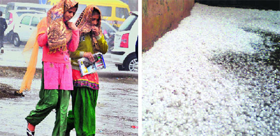 Girls caught unawares during rain in Karnal on Friday. Hailstones whitened a road in Jhajjar on Thursday. Tribune photos: Ravi Kumar, Manoj Dhaka