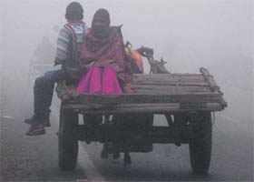 Foggy ride: A cart makes its way through dense fog in Amritsar on Saturday