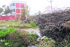 Garbage gets piled up at ESI Hospital on the Majitha road in Amritsar