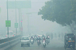 Vehicles had to switch on their head-lights as a thick blanket of fog enveloped Bathinda on Saturday morning. However, by afternoon, the sun had come out and the city was bathed in bright sunshine