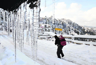 A Kashmiri labourer carries a liquefied petroleum gas cylinder after a heavy snowfall in Shimla on Saturday.
