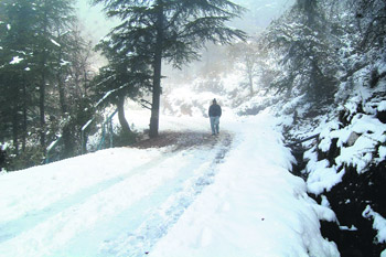 A man walks on a snow-covered road at McLeodganj in Dharamsala on Saturday.