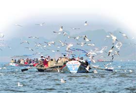 The Ganga (photo) and Yamuna action plans are sad tales of crores of rupees not yielding any result as the rivers continue to flow dirty