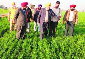 Chief Agriculture Officer Dr Dilbag Dhanju gives tips about spraying techniques in Amritsar on Sunday
