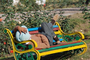 A man takes a siesta in the sun at the Rose Garden in Bathinda on Sunday while a family.