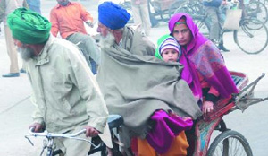 Protects itself from the cold while travelling on a rickshaw. The weather showed its many moods on Sunday with fog and intense chill prevailing in the morning and the son coming out later during the day. However, the cold wind did not provide much respite from the chill to the city residents.
