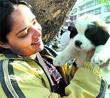 Dogs with their owners at a dog show held at Shishu Niketan School in Mohali