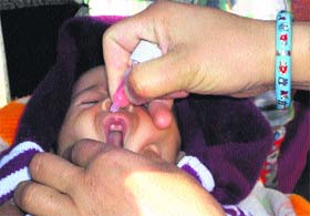 A child being administered polio drops in Rajouri on Sunday.