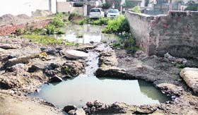 Overflowing sewage coming out of uncovered manholes at Tara Singh Avenue in Jalandhar.