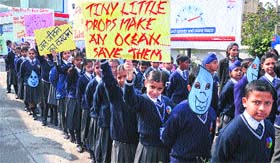Students of Police DAV Public School at a rally on water conservation in Ludhiana.