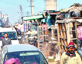 A view of the unauthorised slaughterhouses situated close to the Patiala bus stand.