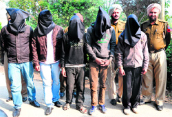 Police officials show weapons seized from five members (with covered faces) of a gang in Amritsar on Monday. 