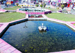 The beautification of the roundabouts will have to wait.