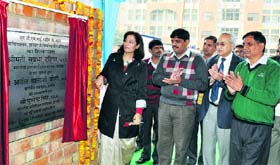 Commissioner Suprabha Dahiya lays the foundation stone of a training centre in Jhajjar.