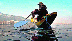 A boatman rows through the partially frozen Dal Lake in Srinagar on Tuesday