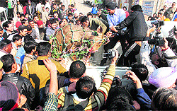 the sambar, which got injured, being trapped by members of the rescue team