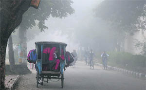 Children on their way to school during foggy Wednesday morning in Karnal. 