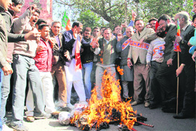 BJP workers burn an effigy of Union Home Minister Sushil Kumar Shinde against his remarks on saffron terrorism in Dehradun on Thursday. 
