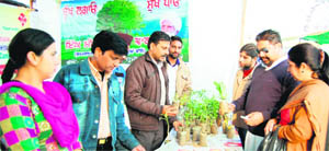 NGOs like Bharat Vikas Parishad try to make the world a bit greener with their efforts. 