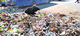 Garbage strewn in the area