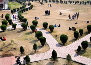 A university, which is an open field of progressive and intellectual resources, cannot progress if its liberal atmosphere is torn apart by restrictions imposed on it by moribund machinery. 
