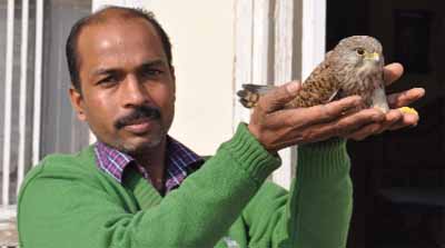 Kulwant Singh, a resident of Parasram Nagar, shows Common Kestrel, a bird of the falcon family, that fell on his roof after being injured by a kite string on Tuesday. Many instances of birds being injured due to the use of China Dor have been reported.