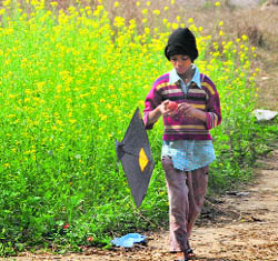 Victims son Sikander flies a kite unmindful of the tragedy.