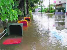 Garbage bins partly submerged in floodwaters on a street in New South Wales.