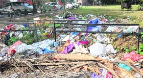 Garbage strewn at the entrance to a park in Sector 19, Chandigarh.