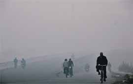 A thick blanket of fog envelopes the Dugri area in Ludhiana on Thursday. 