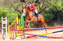 A rider performs a pole jump during the Chandigarh Regional Equestrian Competition, 2013, at the Equestrian Club of Lake Sports Complex in Chandigarh on Friday. 
