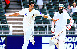 Umar Gul celebrates the wicket of Hashim Amla (right)