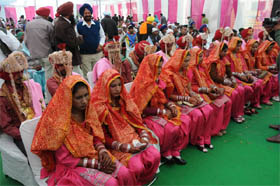 Brides and grooms wait for the ceremonies to start at a mass marriage organised by the NRI Charitable Foundation, Canada, at Gurdwara Jeevan Prakash Saheb, Model Town, Bathinda, on Saturday.