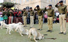 The Railway Police dog training squad displays some tricks at Baroda House during the ongoing Rail Mela in New Delhi on Saturday.