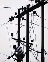 The PSPCLs annual transmission losses run into crores