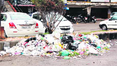 A heap of garbage lies at Lawrence Road in Amritsar on Monday. 