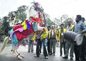 A horse dances on the occasion