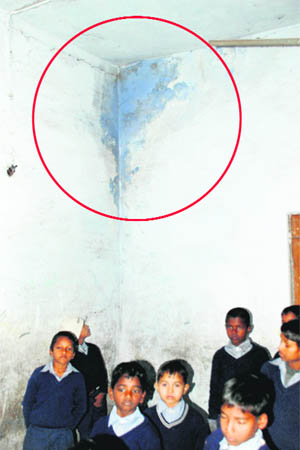 A damp wall at Govt Middle School in Sector 12 A, Panchkula. 