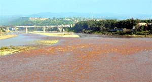 A view of Tawi River which has swelled due to the recent rainfall in Jammu.