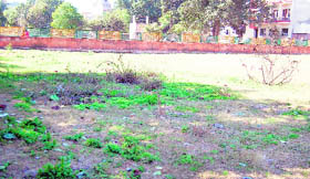 A herbal garden lies barren at Gol Bagh.