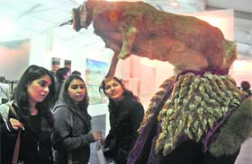 Glimpse of Thirst by Shine Shivan, using real chicken heads