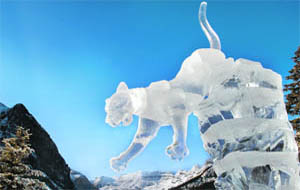 The cougar in all its glory