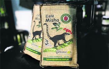 Farmer Jose Durand makes one of the most expensive coffees in the world by picking Arabica beans out of the dung of a long-nosed jungle critter called the coati, a tropical cousin of the racoon.