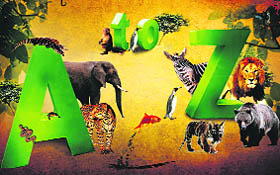 Get information about jungle life on Animal Planet A-Z