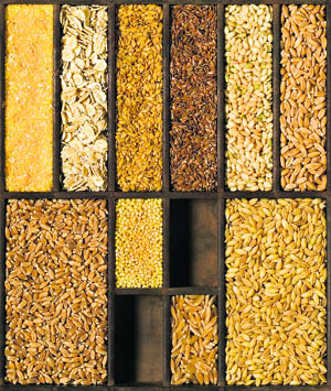 Ragi, jowar, bajra are excellent sources of the vitamins B, E, minerals, fibre and help reduce incidence of colon cancer, diabetes, obesity and heart ailments