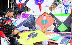 Designer kites put up for sale at a shop ahead of Basant Panchmi in Jalandhar on Sunday